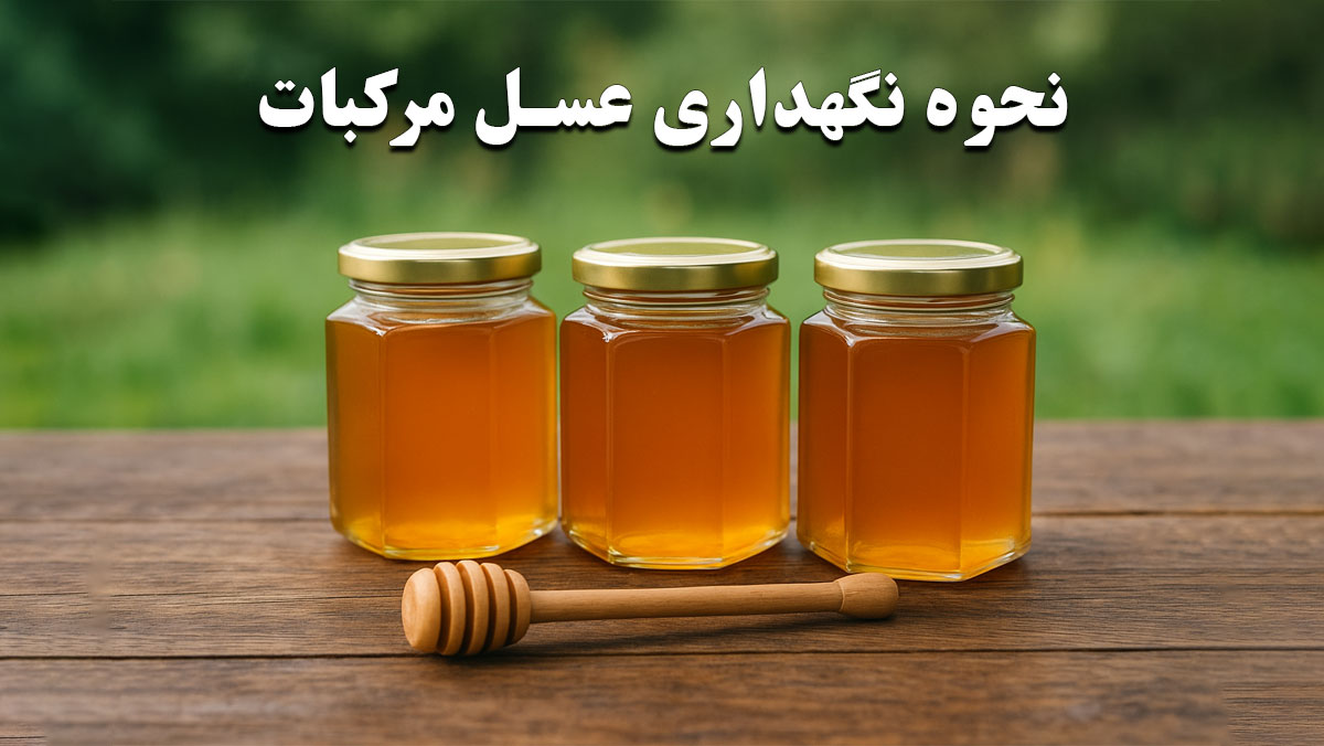 نحوه نگهداری عسل مرکبات
