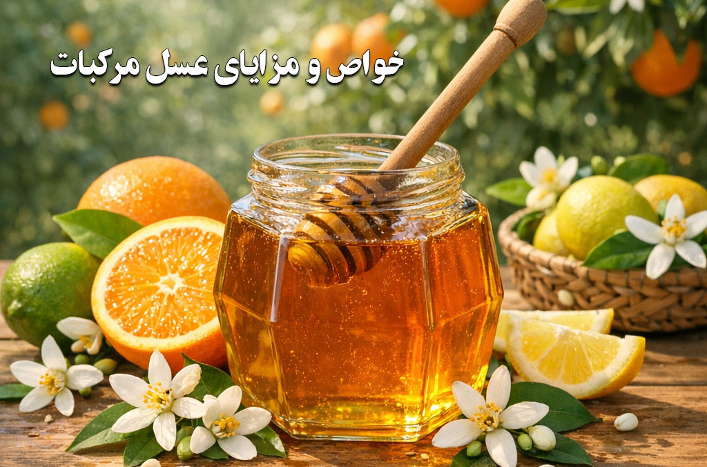 خواص و مزایای عسل مرکبات